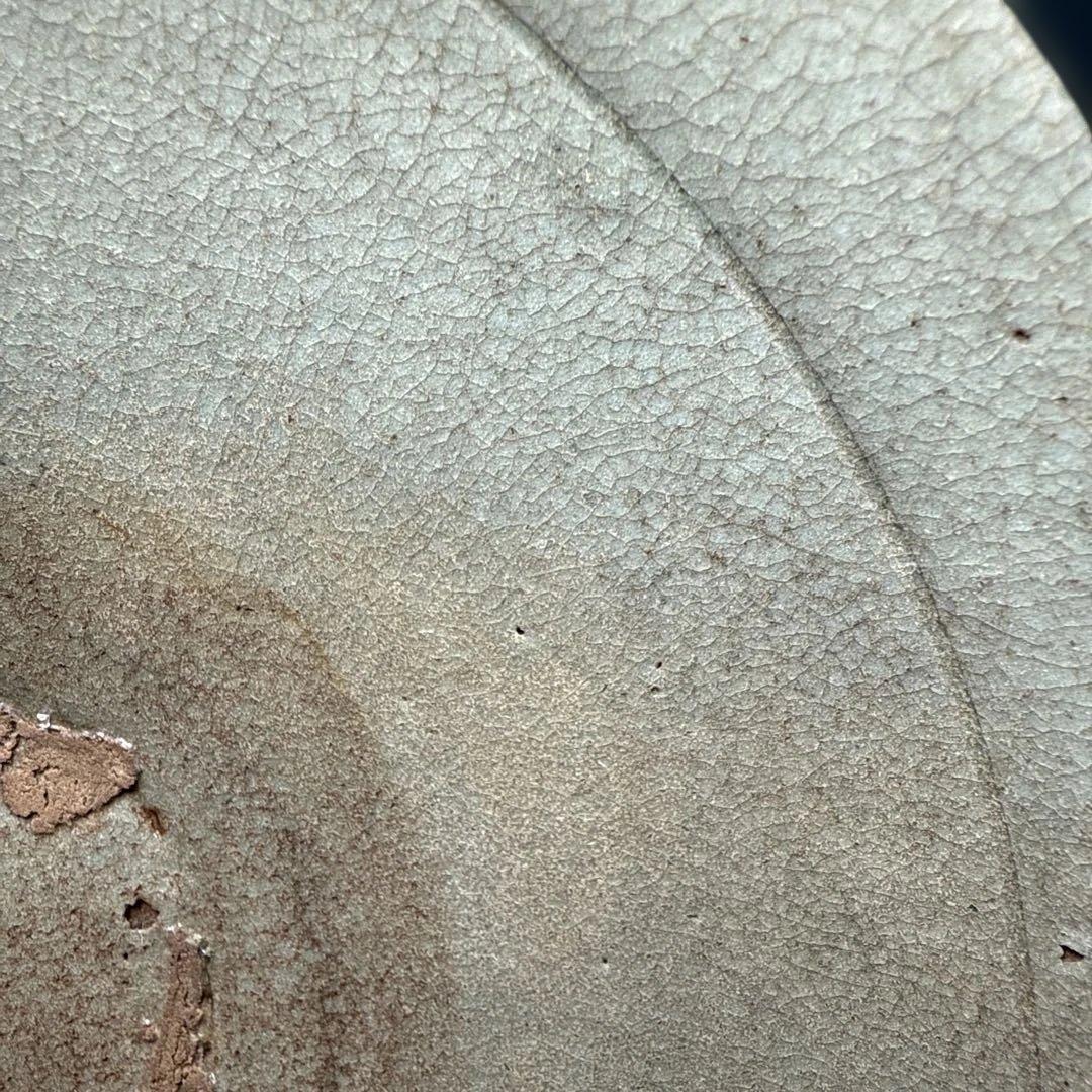 朝鮮古美術　高麗～李朝時代　青磁平茶碗　古美術　茶道具　時代保証　箱付　状態◎