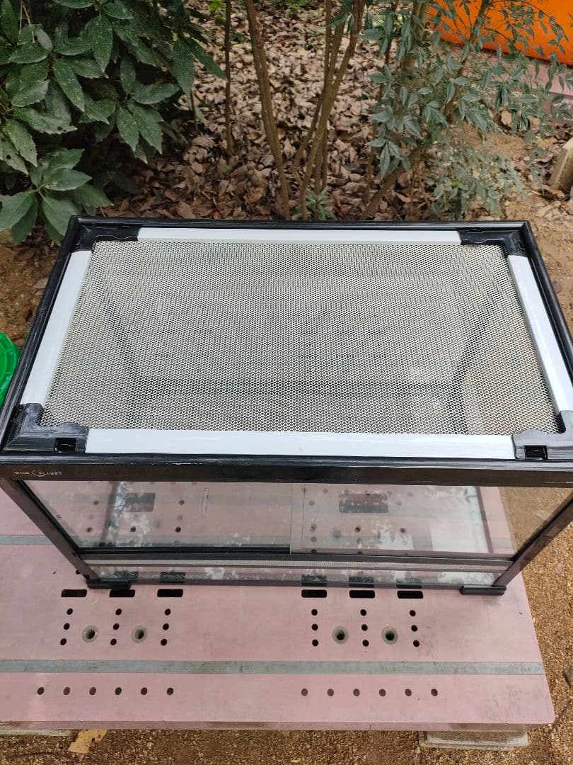 WILD PLANET 飼育ケージ 約80cm 中古