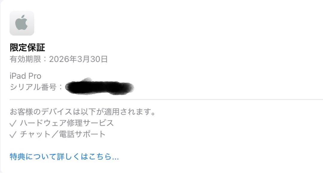 iPadPro 11インチ　M4 256GB Wi-Fiモデル　5点セット