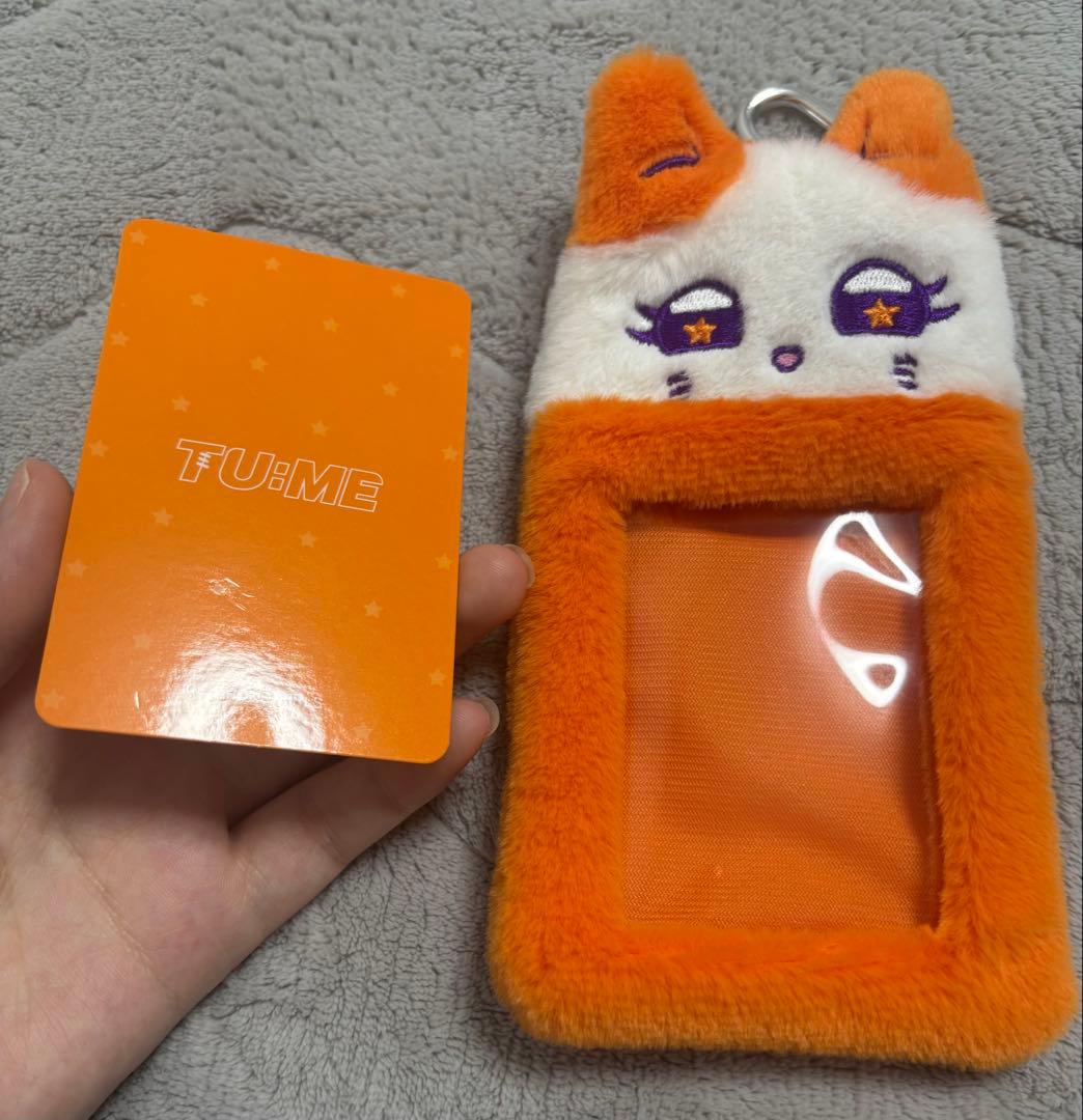 月　海老原鼓　まとめ売り