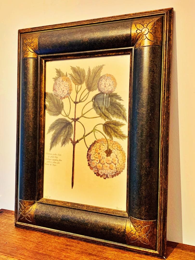 フランス　アンティーク　フレーム　絵