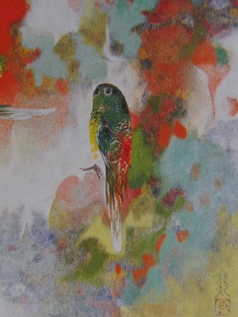 市野龍起、【ビセイ・インコ】、希少な額装用画集より、新品額装付、状態良好