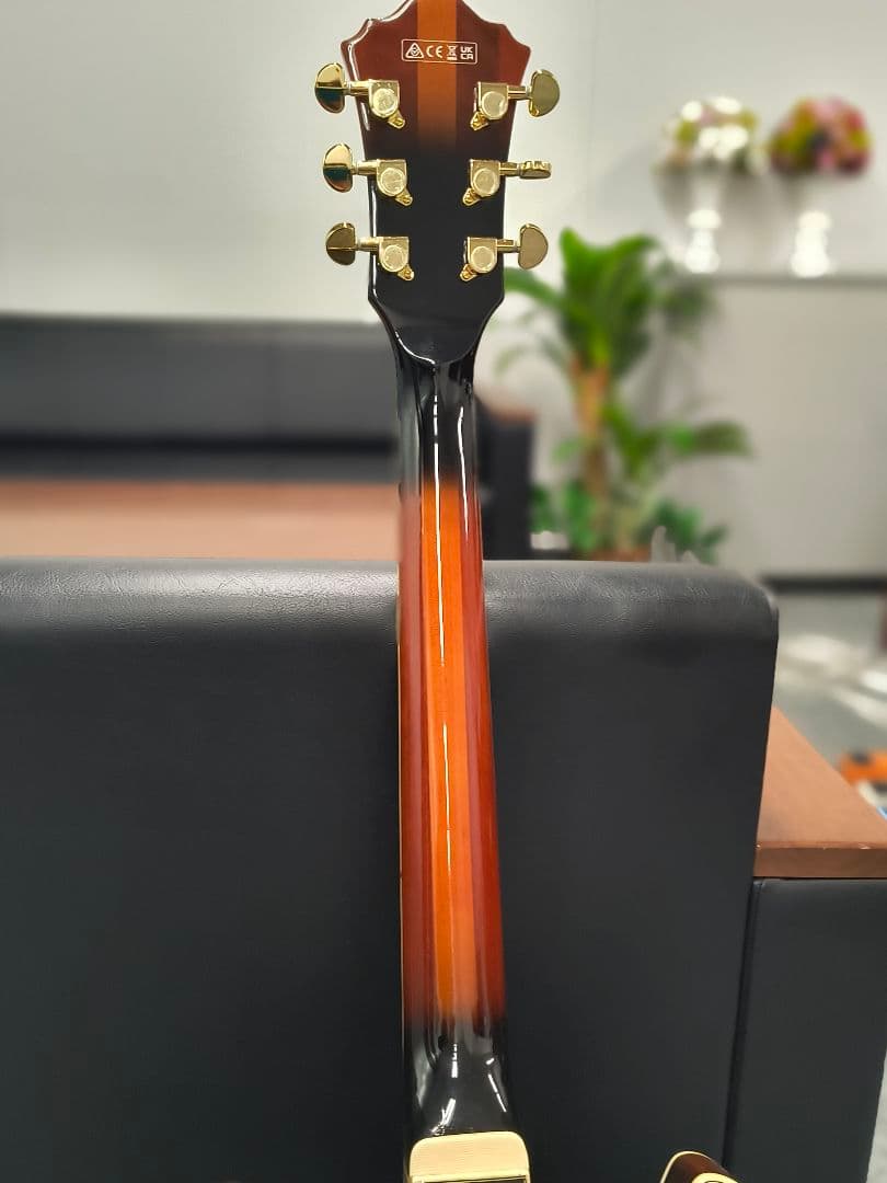 アイバニーズAS113B-TBC セミアコ