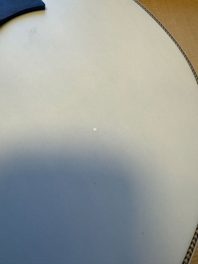 PRS ギター　P20E