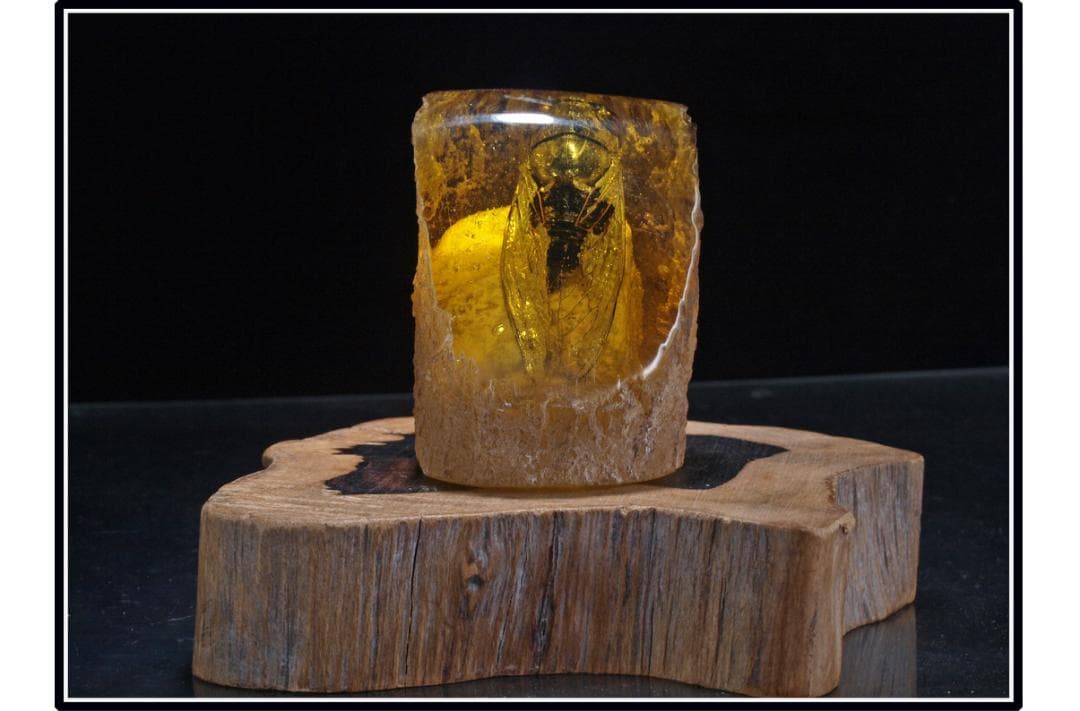 旧家初心だし　中国時代の化石　天然琥珀サソリ古美術 DE1656D4-2