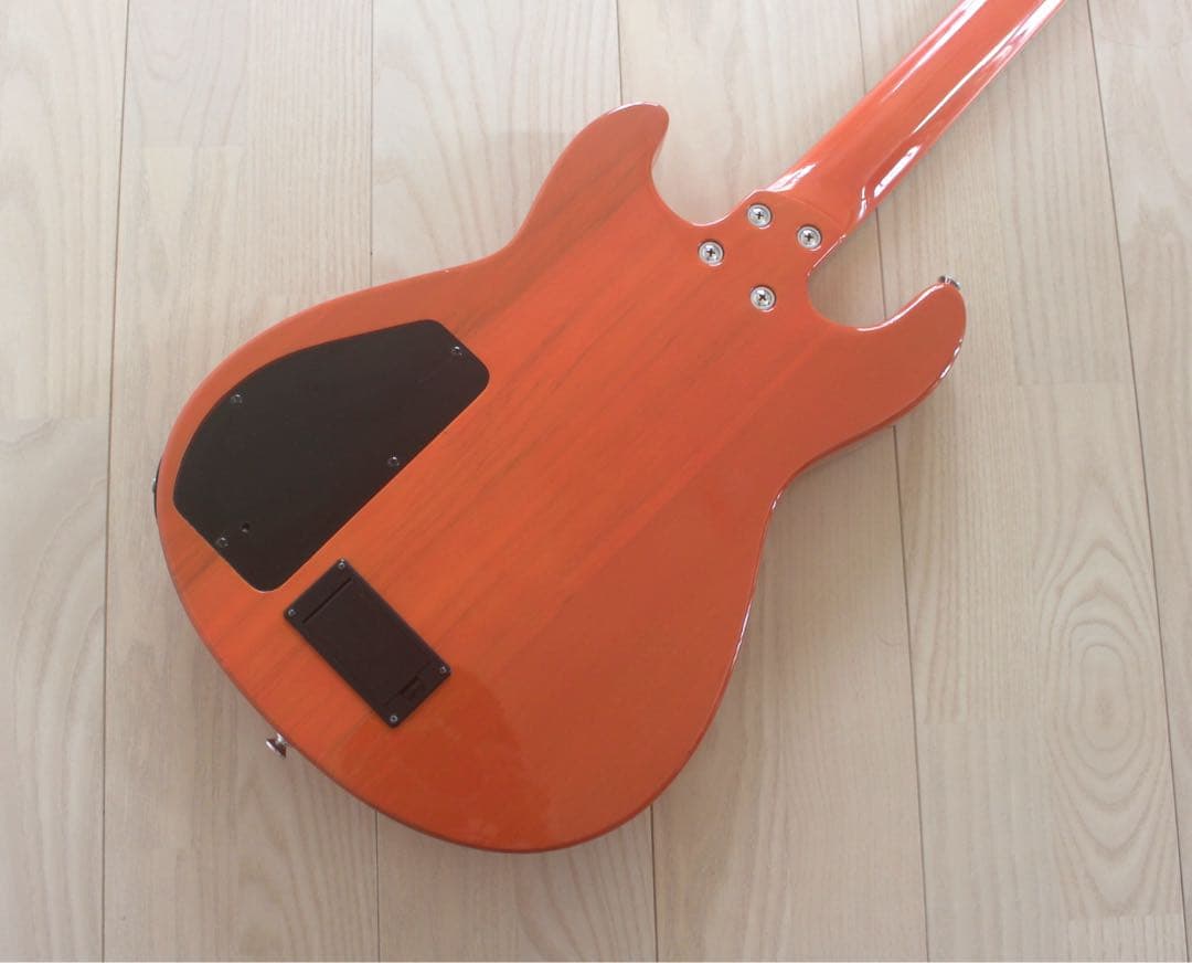 Fernandes APG-55S サスティナー搭載