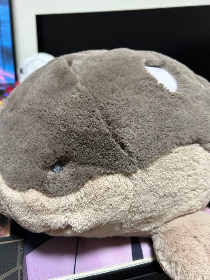 ぬいぐるみ shibainu.inko