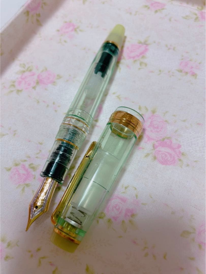 ペンポイントオリジナル万年筆　雨蛙