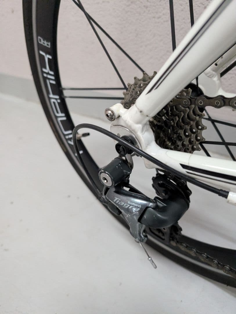 TERN ターン SURGE PRO 2019年モデル