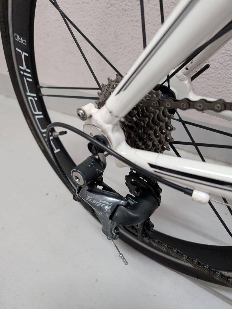 TERN ターン SURGE PRO 2019年モデル