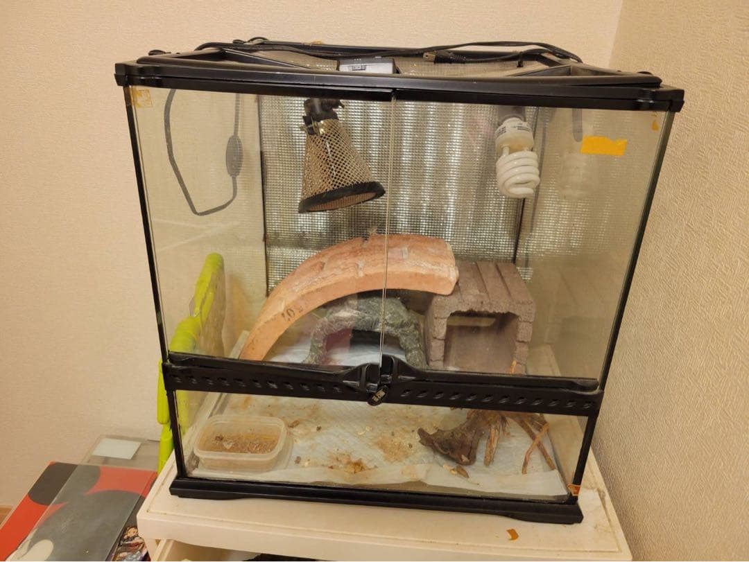 爬虫類ケージ・サーモスタットセット