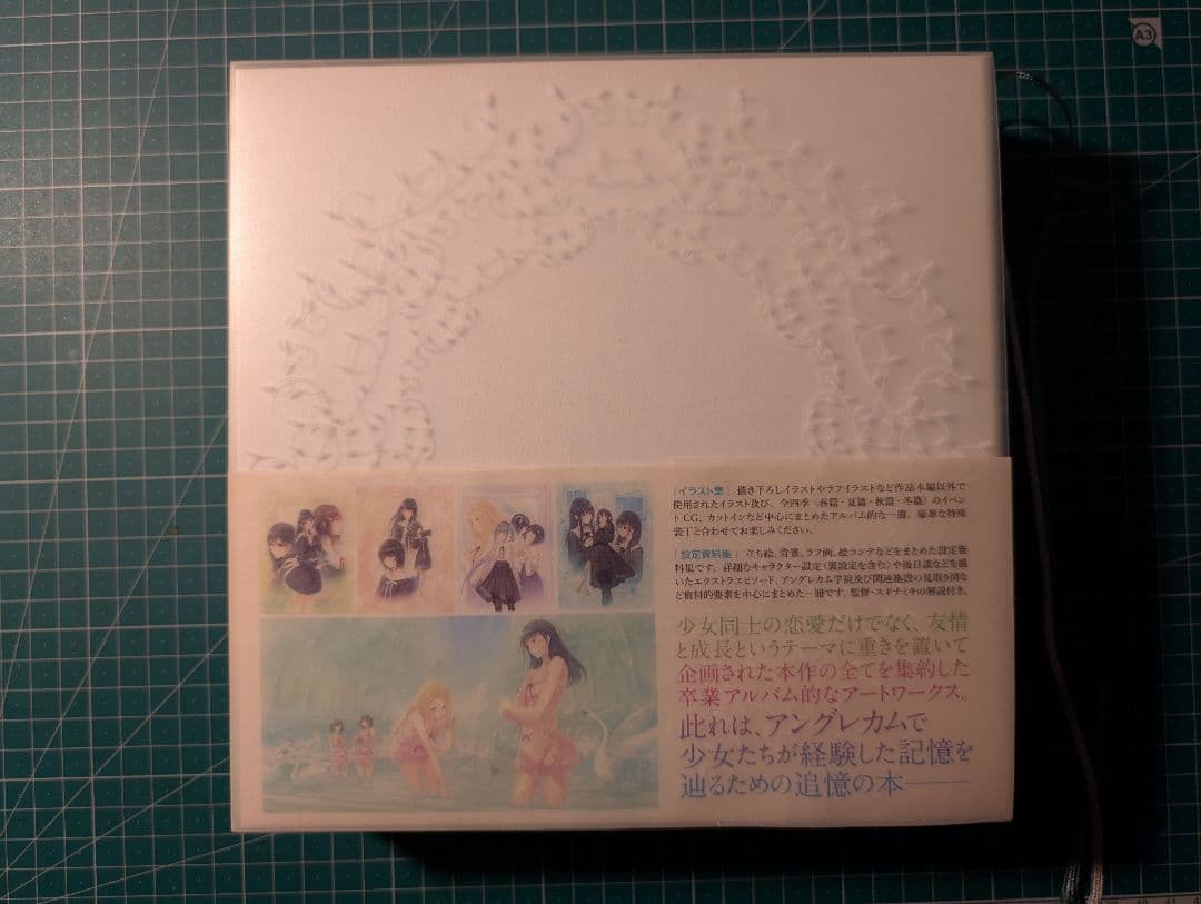 Innocent Grey FLOWERS アートワーク 〈Couleur〉