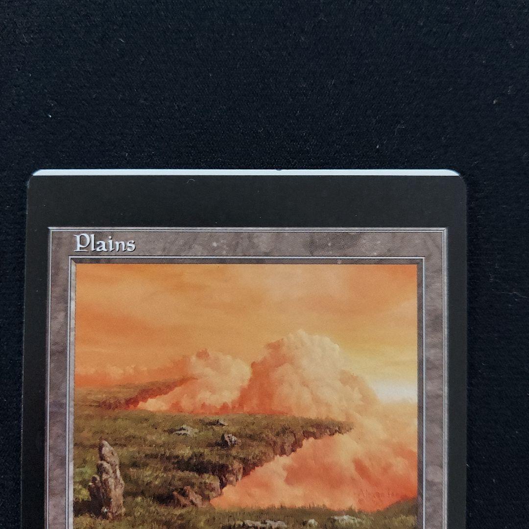 MTG　エラーカード　枠ズレ　ウルザズ・サーガ　英語版　基本土地　白属性