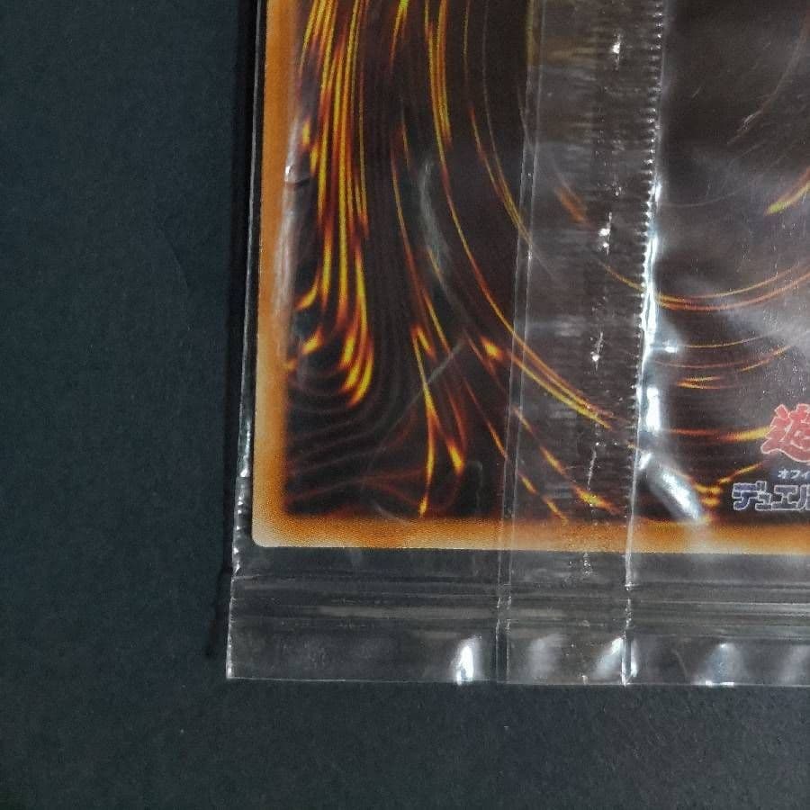 光の創造神ホルアクティ 未開封 光の創造神 ホルアクティ 当選通知書付き