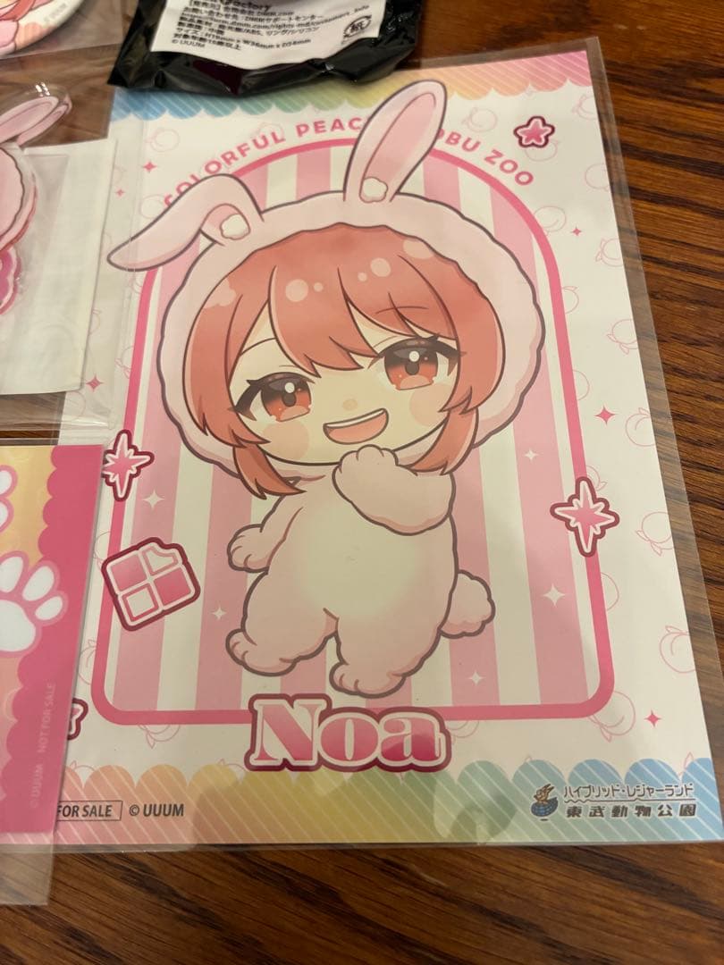 カラフルピーチ 東武動物公園 後期 のあ　6点セット