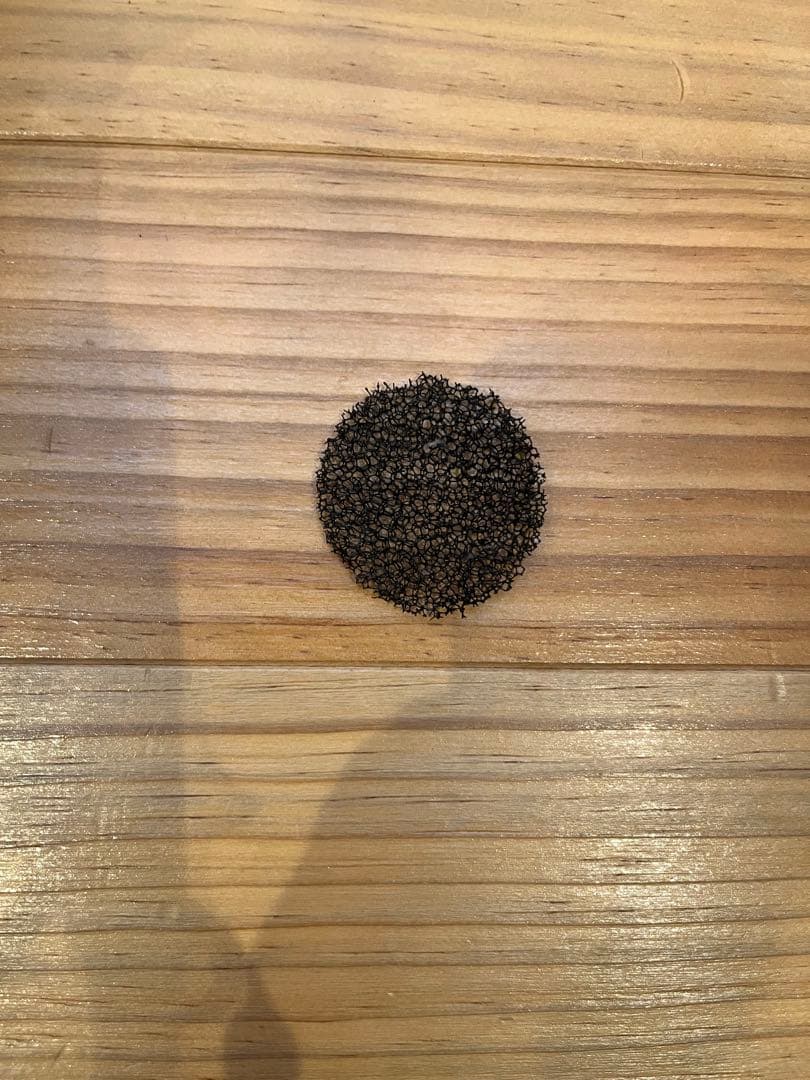 ボスレー ヘアドライヤー ディフューザー付き