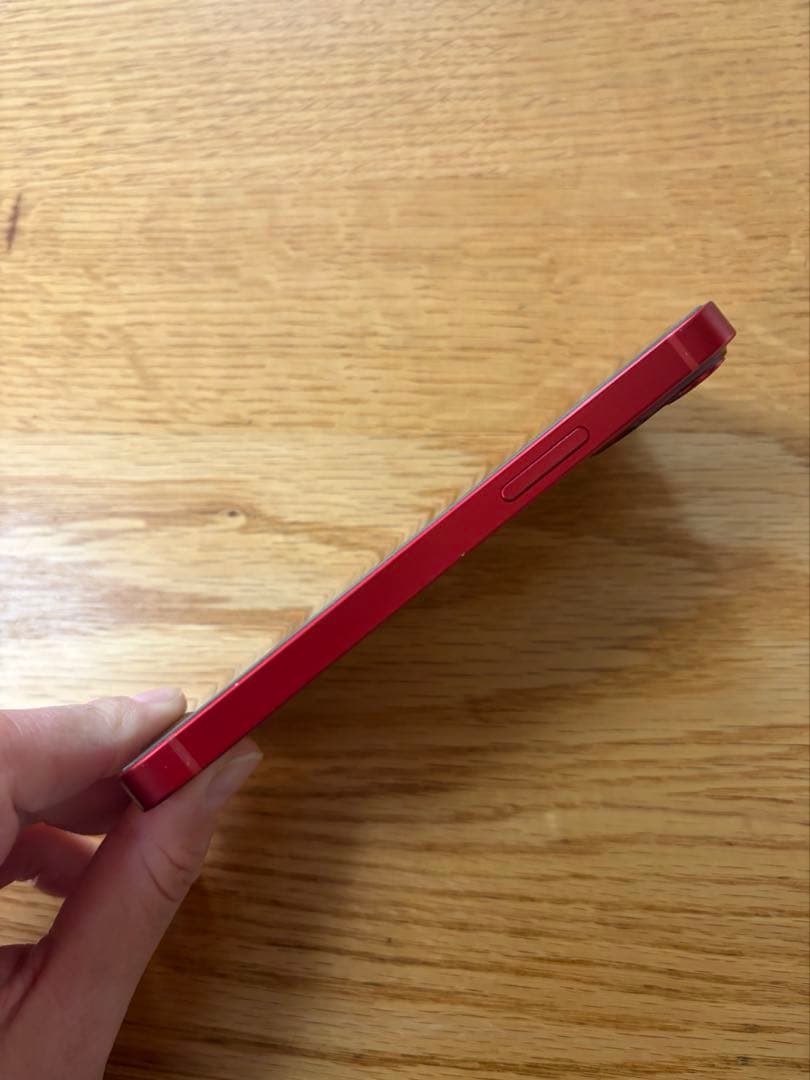 Apple iPhone 13mini 256GB ケース・ショルダー付き