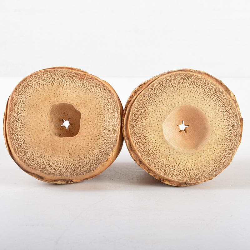 茶道具　竹蓋置　一双　建仁寺竹田益州花押　書付箱　M　R5359