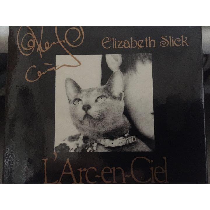 【入手困難】エレキギター弦　ラルクKen