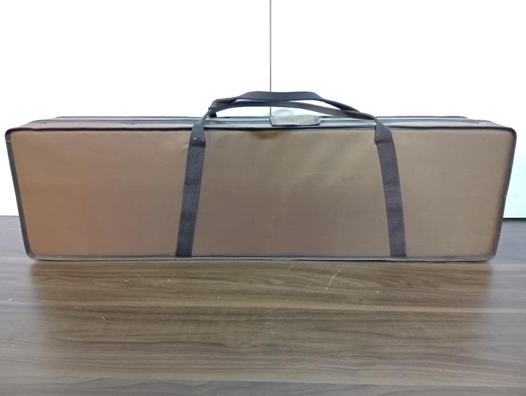 ゼンオン　文化箏 　文化琴　ケース付き