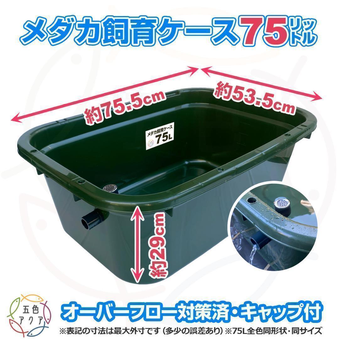 メダカ飼育ケース 75㍑x2個 黒・深緑あり オーバーフロー めだか