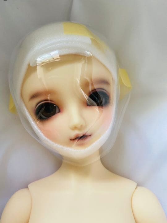 SD/シャルロッテ 2013限定