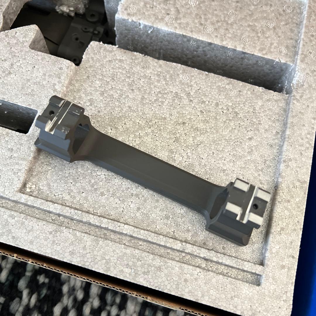 G&G Armament SG550 AEG 箱入り