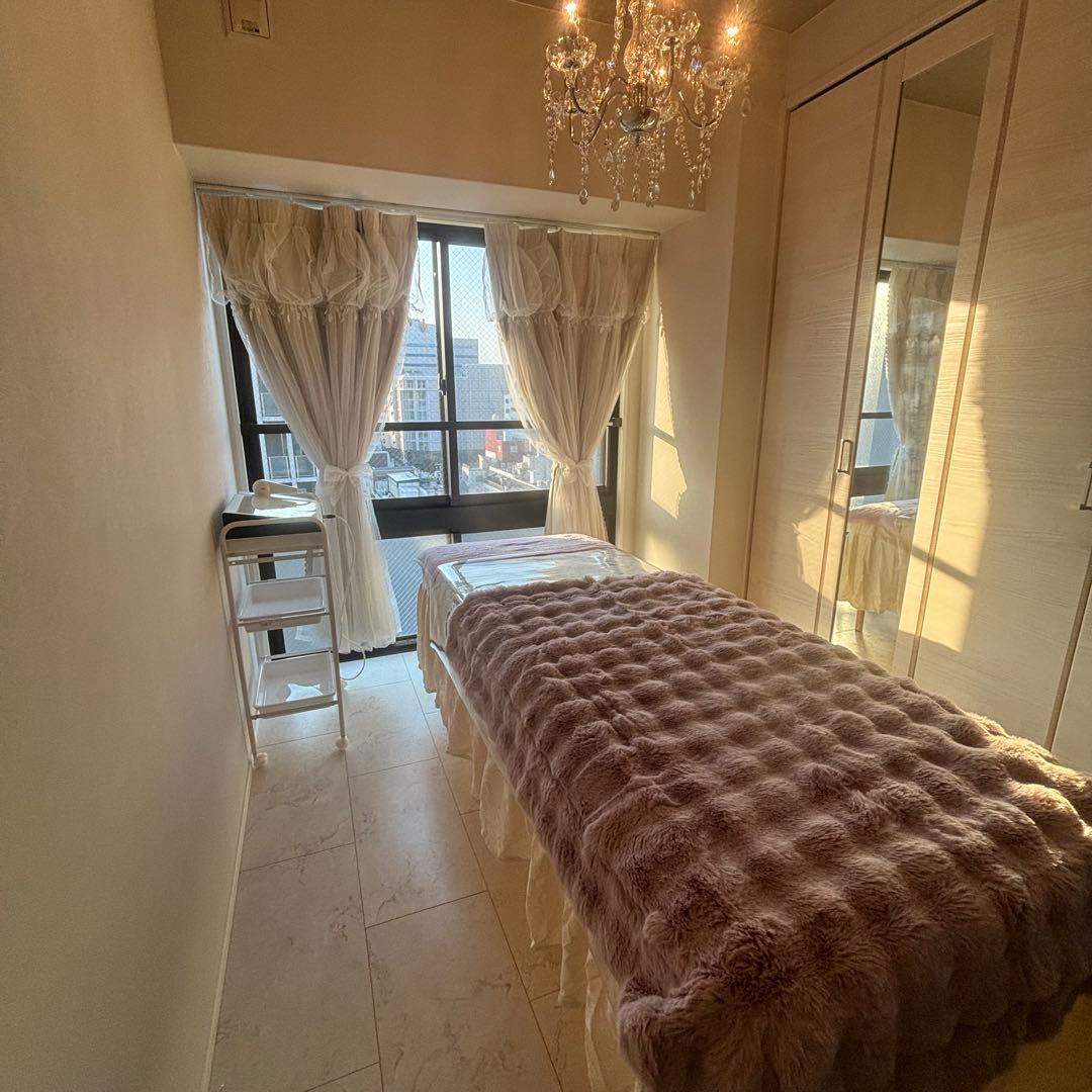 シャンデリア NL-8628SL 幅45 LED対応