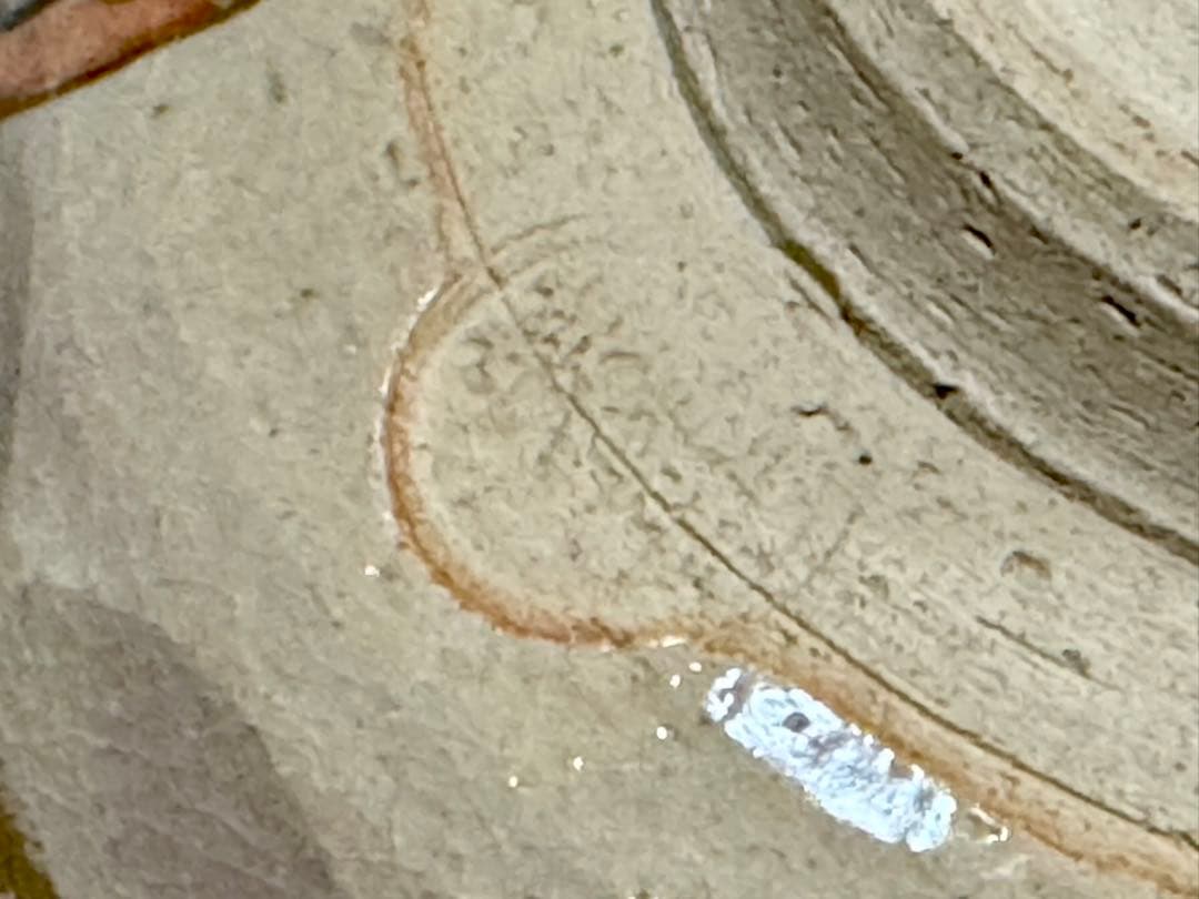 乾山風 節分之図 茶碗 芳華 造