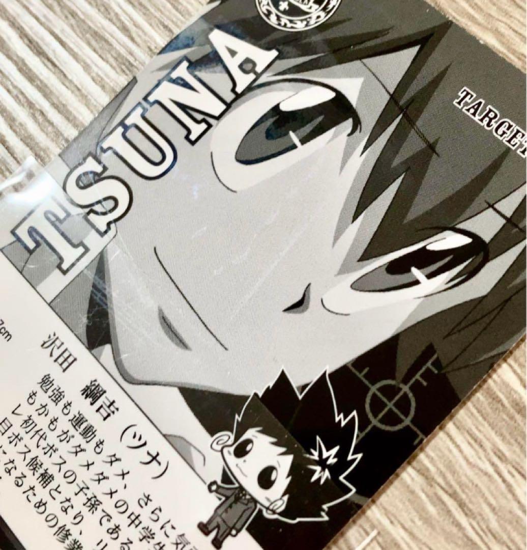 希少 プレミアムカラー 沢田綱吉 リアルペイントシート カード リボーン