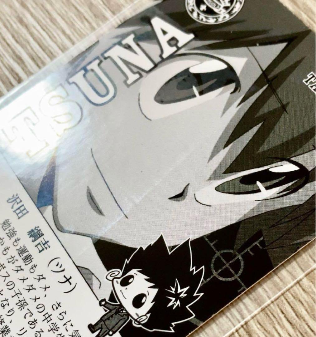 希少 プレミアムカラー 沢田綱吉 リアルペイントシート カード リボーン