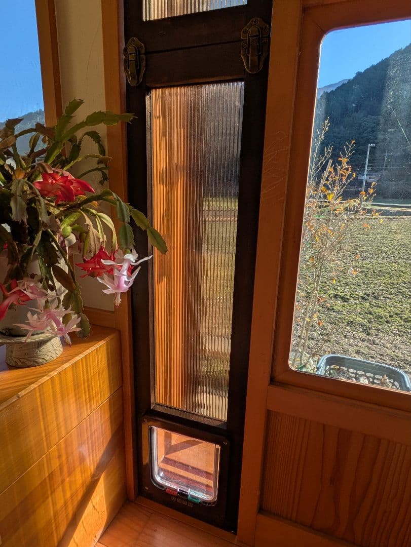 [行って帰る君]　ペットドア ペット スルー新年キャンペーン中