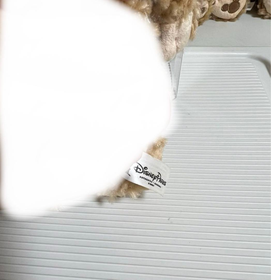 ダッフィーぬいぐるみ（2014年、40周年、ディズニーワールドバラ持ち、上海限定