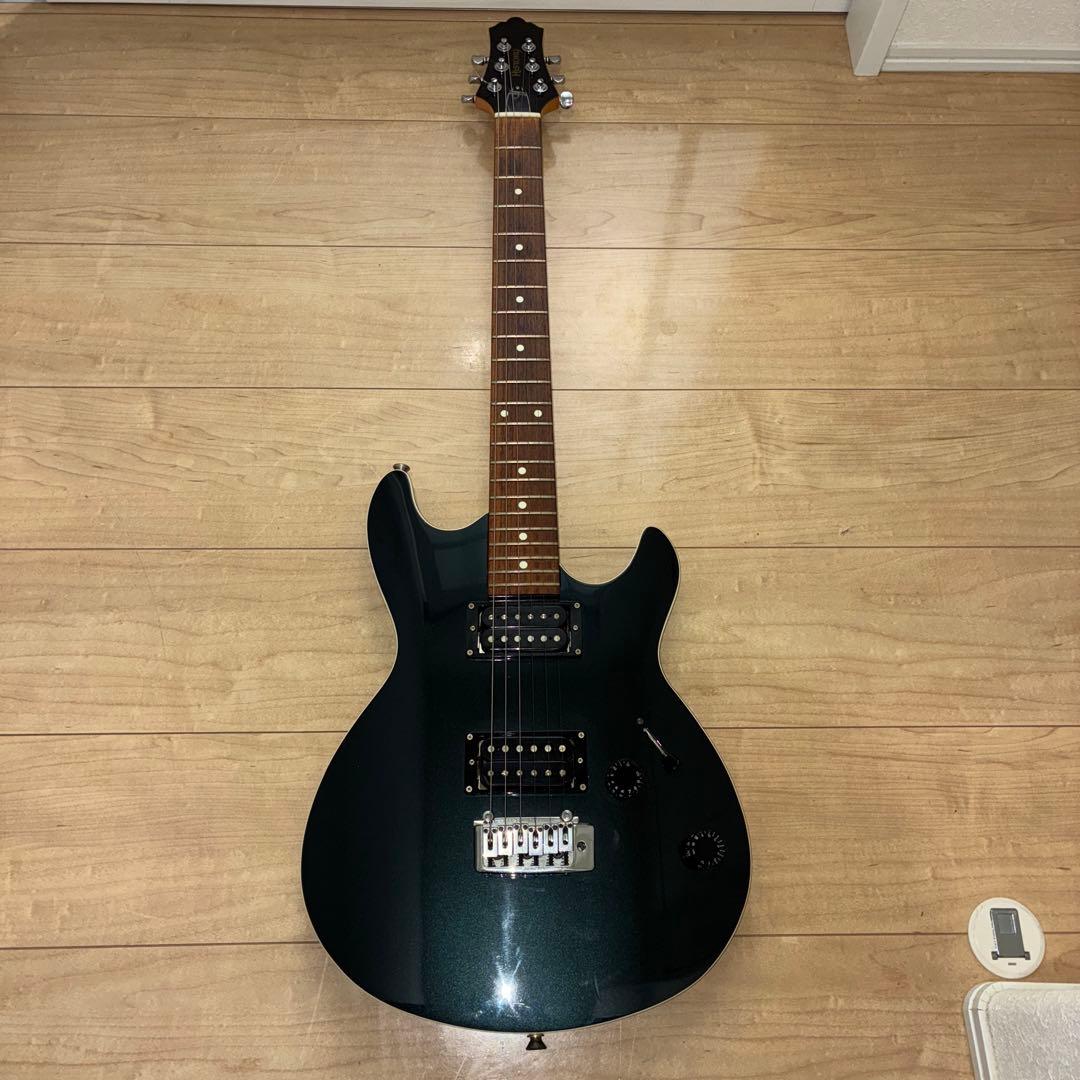 超希少　History(フジゲン) ZGF CFS 富士弦製　日本製