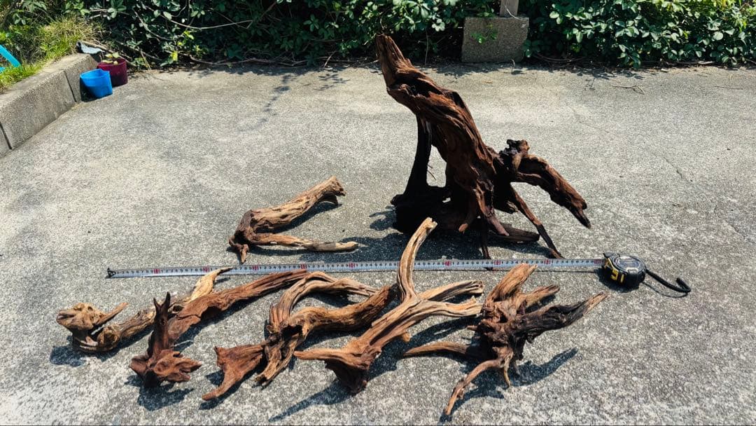 ADA ホーンウッド 詰め合わせ