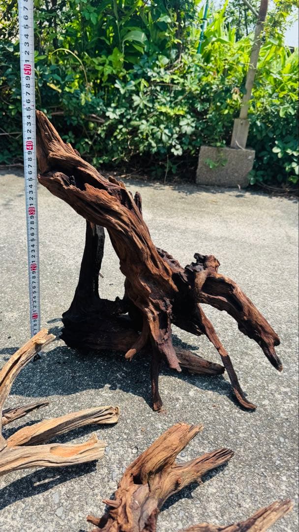 ADA ホーンウッド 詰め合わせ