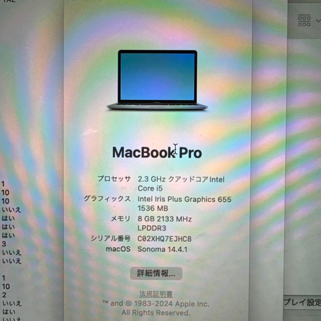 MacBook Pro 13インチ 2018 i5 8GB 256GB