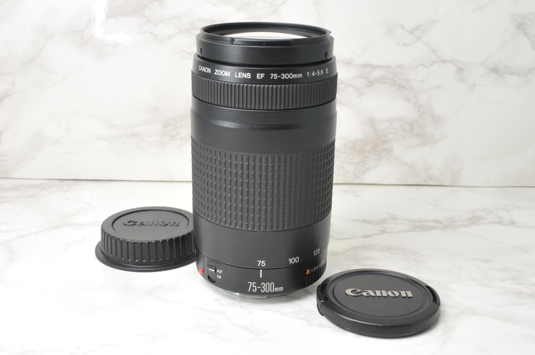 超望遠レンズ❣️Canon⭐️EF 75-300mm F4-5.6 Ⅱ USM