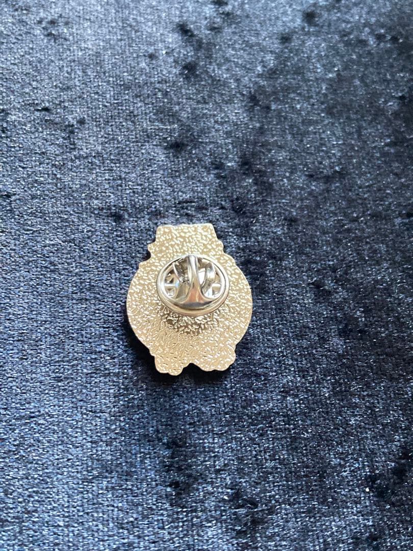 パリオリンピック 2024 ピンバッチ NOC アメリカ USA トライアスロン