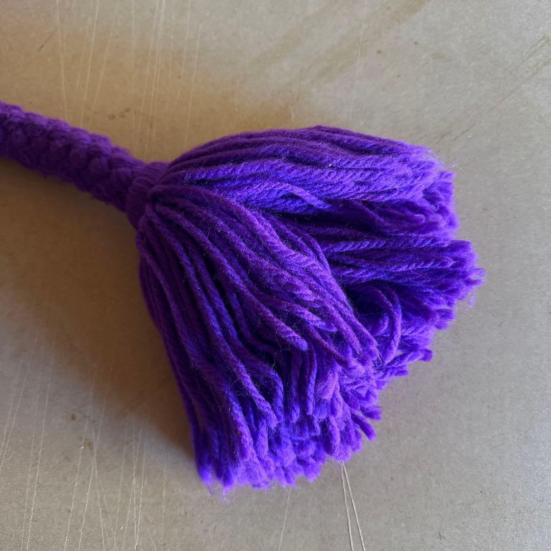 土佐犬　土佐闘犬　超大型犬　引き綱　紫