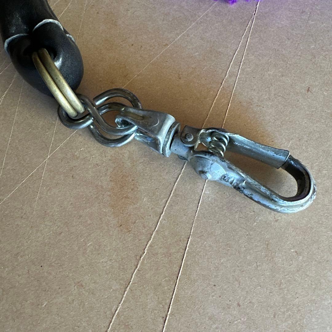 土佐犬　土佐闘犬　超大型犬　引き綱　紫