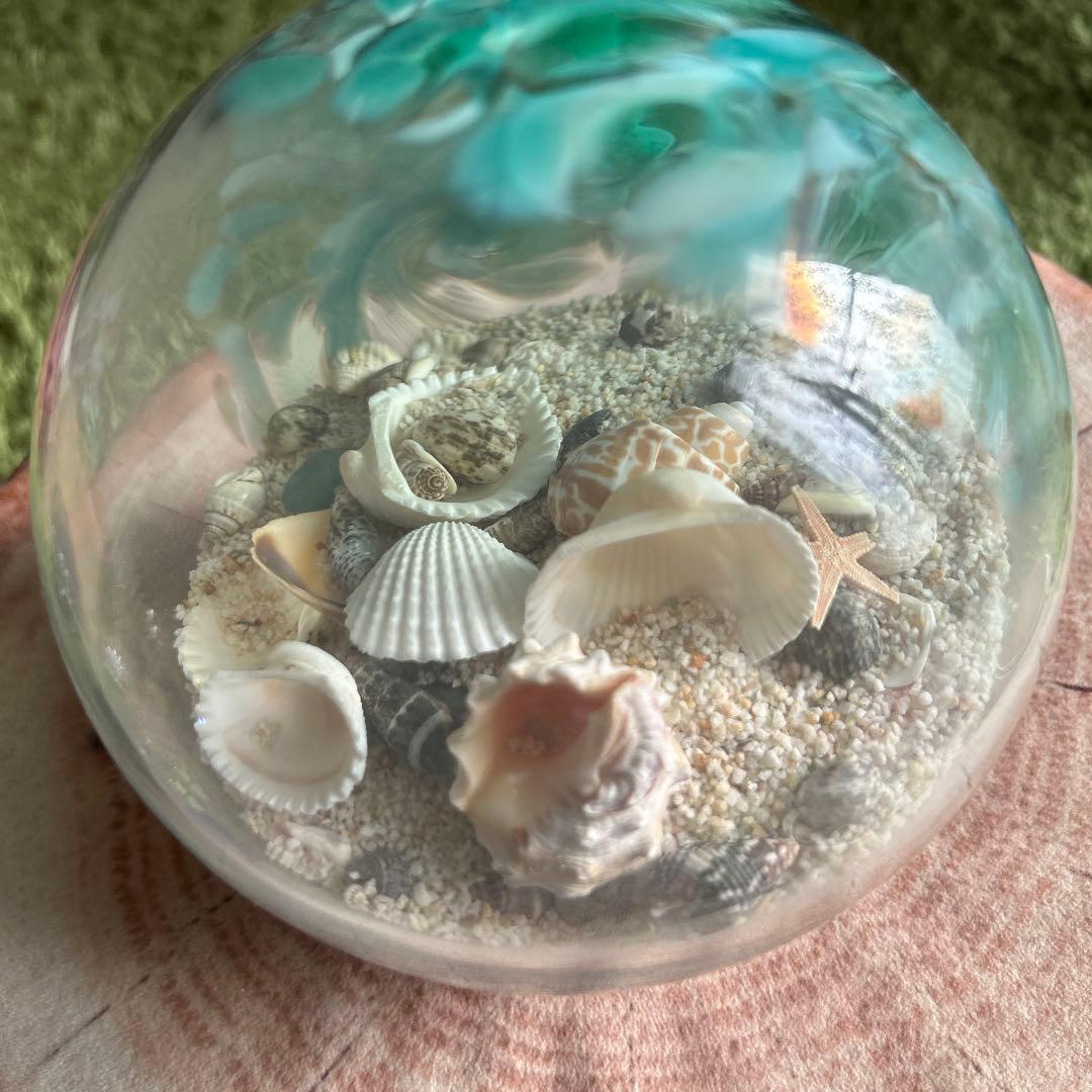 ガラスドーム　シェル　お値引き不可