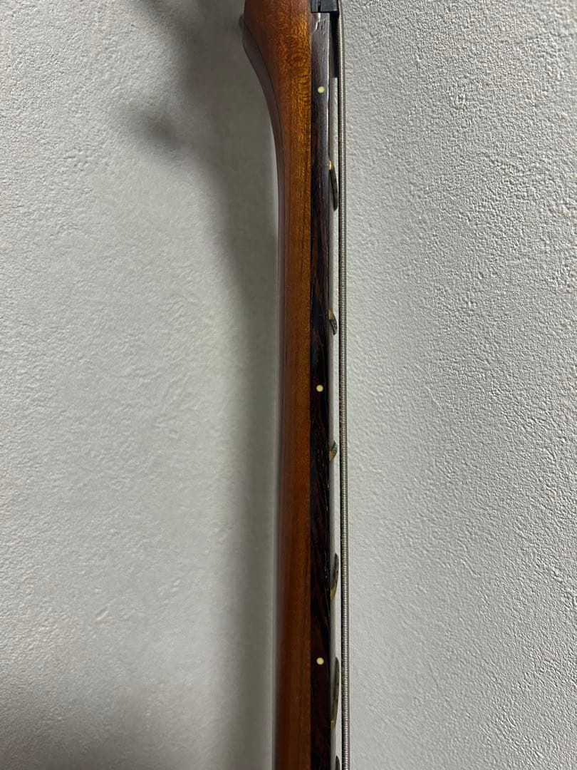 ワーウィック warwick コルベットスタンダード　corvett std