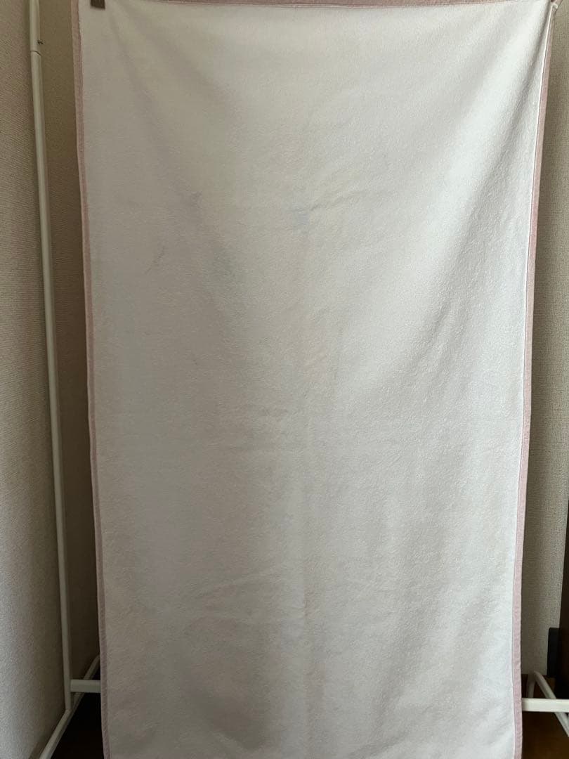 「穏やかな猫タオルケット」カネコアヤノ