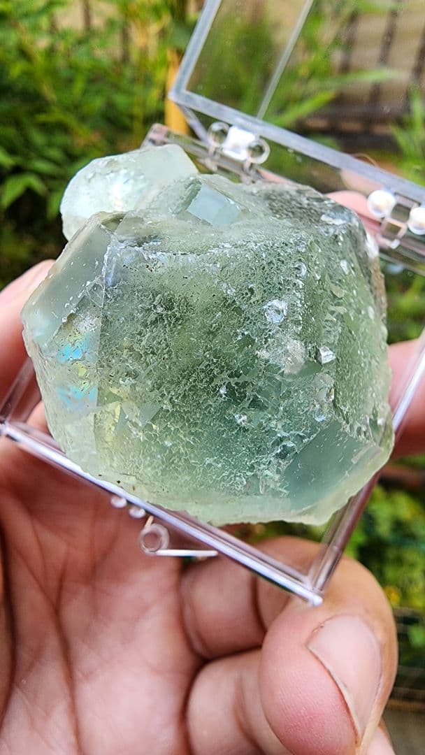 ボトリオイドグレーンフローライト (shangbao)