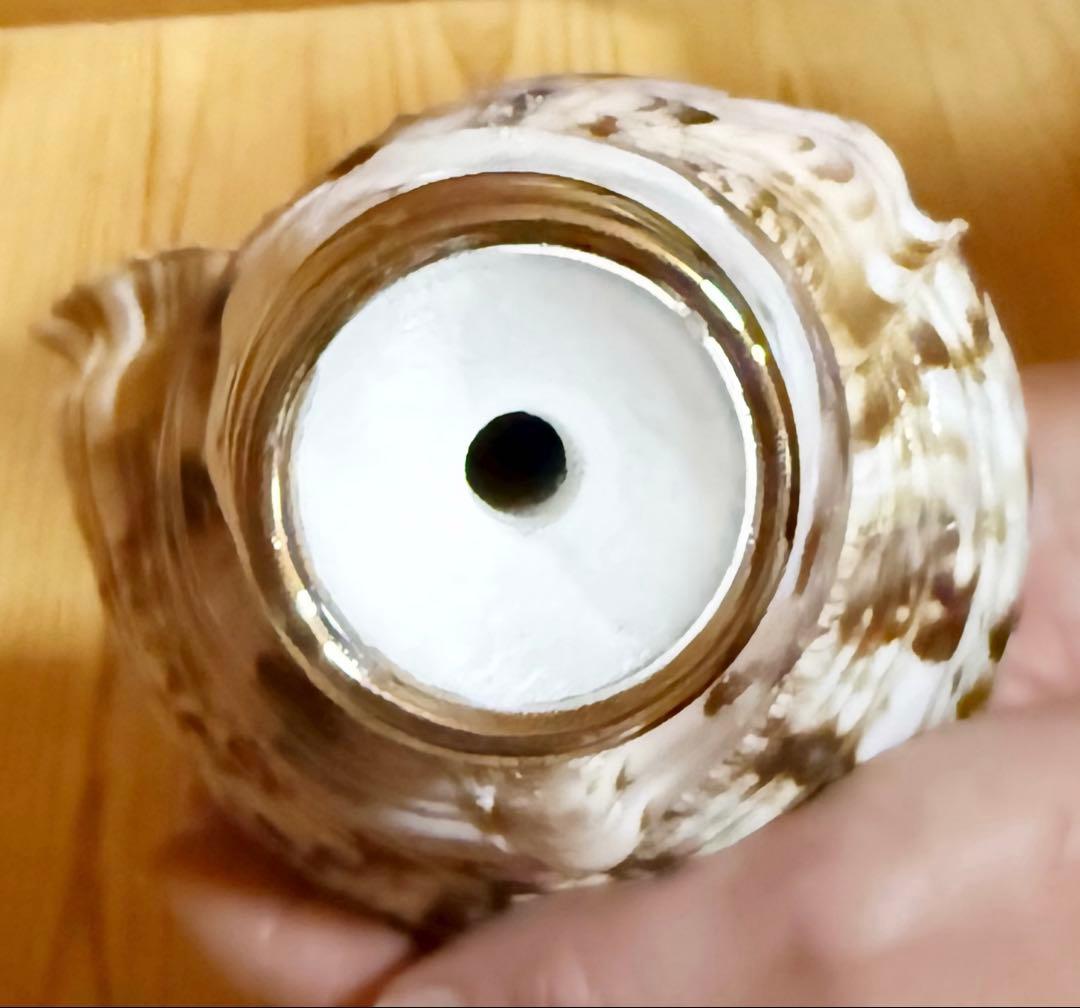 コンパクト修験道法螺貝　山伏　密教　熊よけ　魔除け❣️ホラガイ　ほら貝