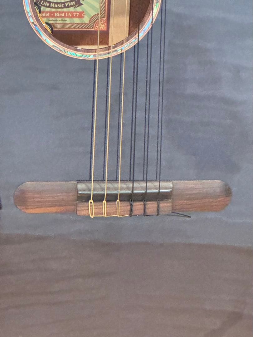 ギター aNueNue/aNN-LN77E