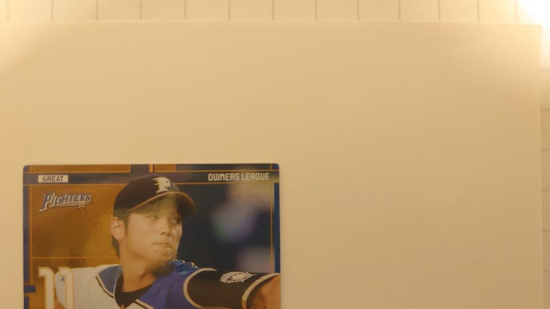 オーナーズリーグ2014 大谷翔平 GREAT