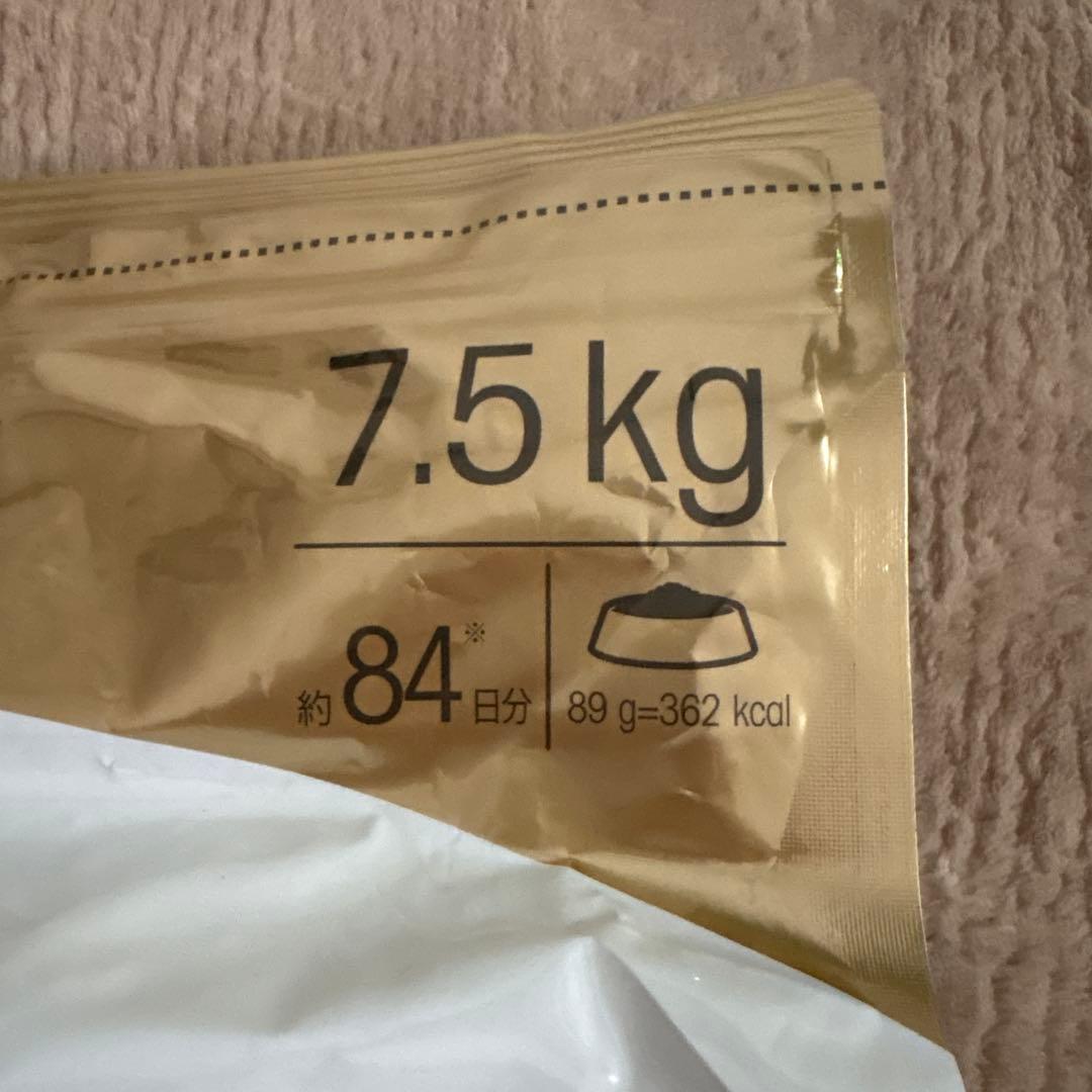 ロイヤルカナン　プードル　成犬用