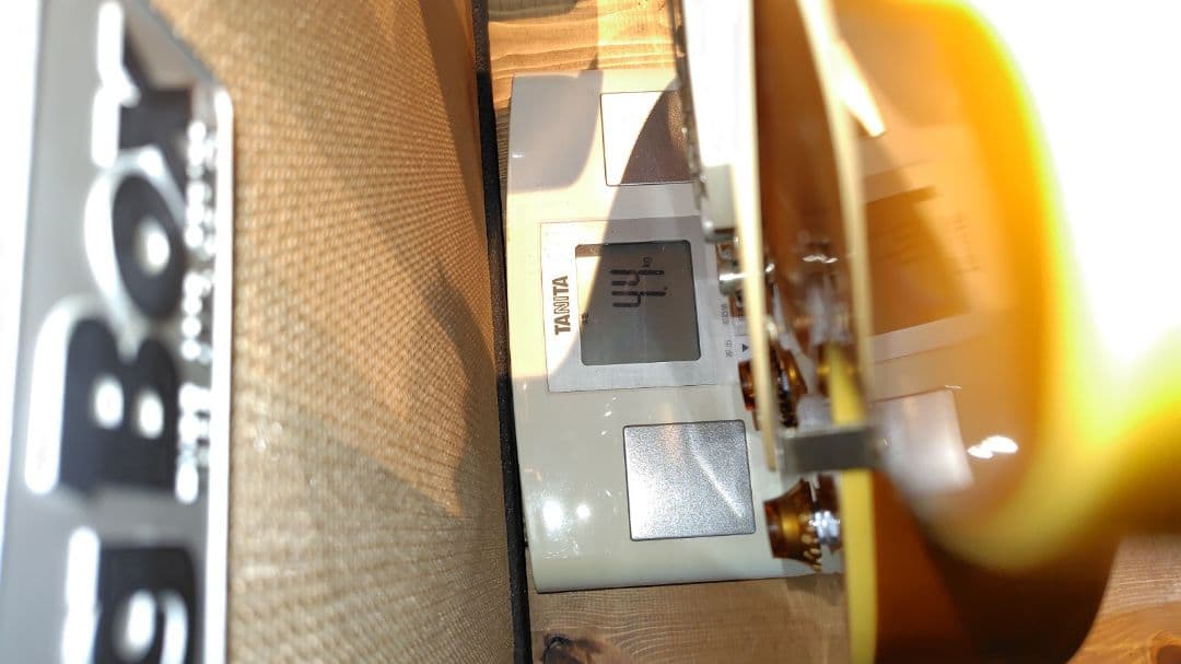 「ジャンク品」80年代　Fernandes　RLG90 Burny